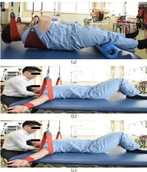 Fig.  1.  Horseback  riding  simulator  exercise