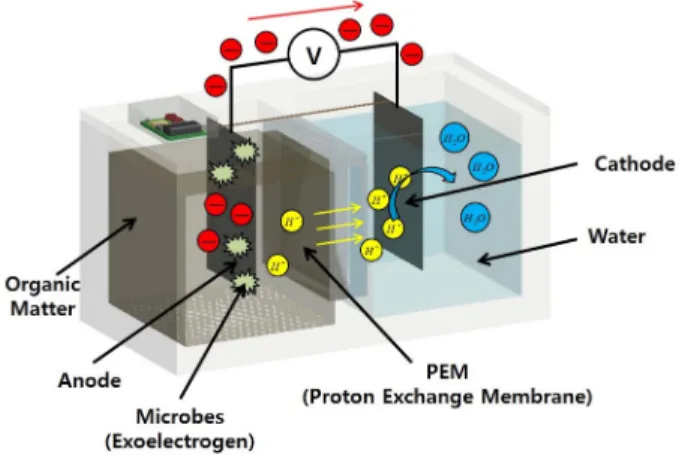 Fig. 1. Diagram of batch-mode microbial fuel cell.