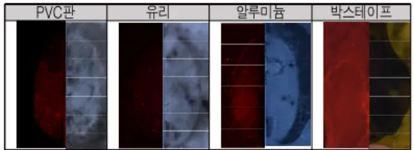 그림 7. [표 2]의 (g)의 농도비율로 제조한 RB시약을 이용 하여  현출한  사진(상:  형광,  하:  백색광)