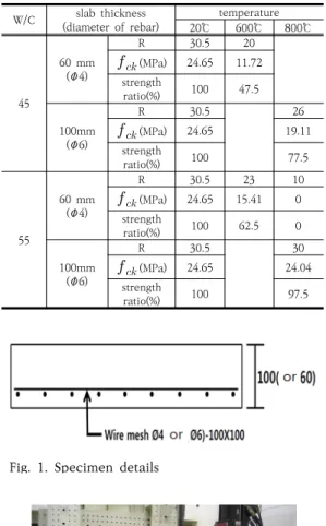 Fig.  1.  Specimen  details