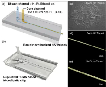 Fig. 1. (a) Schematic image of microfluidic chip containing microchannels, (b) The fabricated PDMS based microfluidic chip, (c) Surface image of chemically crosslinked 10wt%