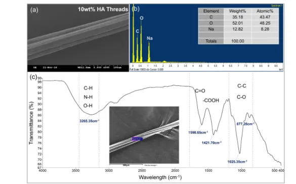 Fig. 3. Analysis of physical properties of 10wt% hyaluronic acid microthreads, (a) Tensile strength test of hyaluronic acid microthreads, (b) Tensile strength graph of hyaluronic acid microthreads, (c) Bending test image of hyaluronic acid microthreads.