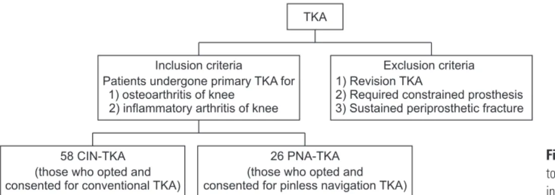 Fig. 1. Patient selection flowchart. TKA: 