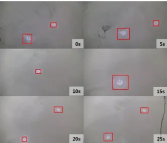 Fig. 5. Image processing of the real jellyfish image. (a) the original  jellyfish image (b) the gray scale image after noise reduction  filtering (c) the result of the morphological gradient operation  (d)  extracting  the  dark  areas  (e)  the  result  o