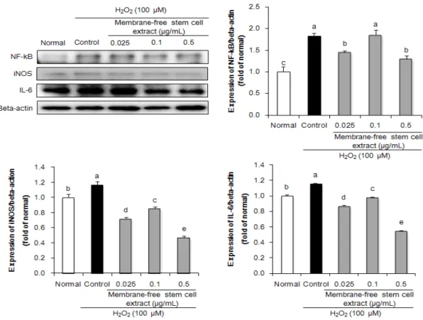 Fig. 2. Effect of membrane-free stem cell extract on inflammation-related protein expression in H 2 O 2 -treated HPLF  cells