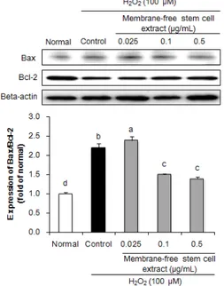 Fig. 4. Effect of membrane-free stem cell extract on  apoptosis-related  protein  expression  such  as  Bax  and  Bcl-2  in  H 2 O 2 -treated HPLF cells