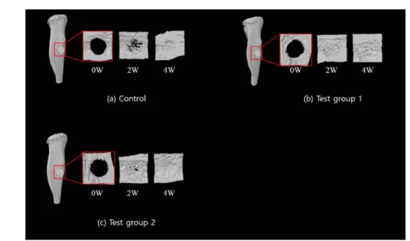 Fig. 3. u-CT images of control group (a), test group 1 (b) and test group 2 (c) at 0, 2, 4 weeks after treatment.