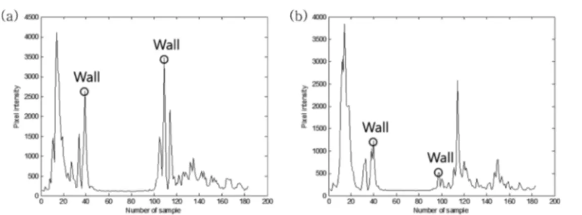 Fig. 7. (a) Profile of weighted pixel values in the center region, (b) Profile of weighted pixel values in the lateral region.