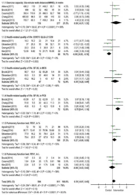 Fig.  3.  The effect size  of intervention  in subtotal group