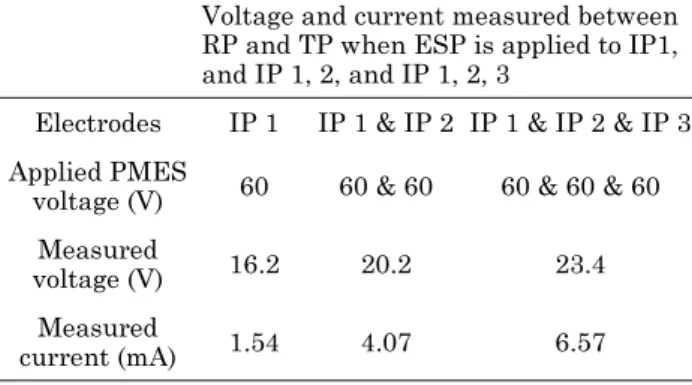 Fig. 10. Experiment configuration for observing the focusing phenomenon of the electric stimulus pattern applied to the MAE.