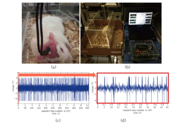 Fig. 8. (a) Rat with implanted electrode. (b) whole system setting. (c) 100,000 data out of measured data