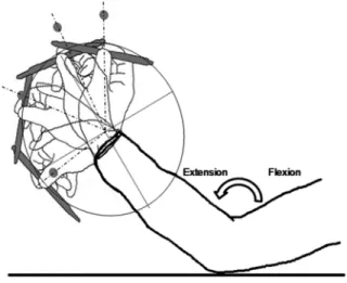 Fig. 1. Dart-throwing motion