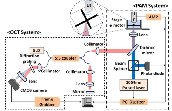 Fig. 1. Schematic diagram of OCT-PAM system 