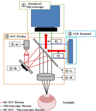 Fig. 2. Signal progressing diagram