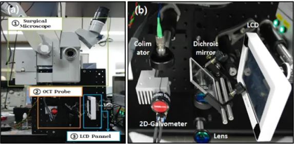 Fig. 4. (a) Implemented Probe, (b) Enlarged picture of OCT probe