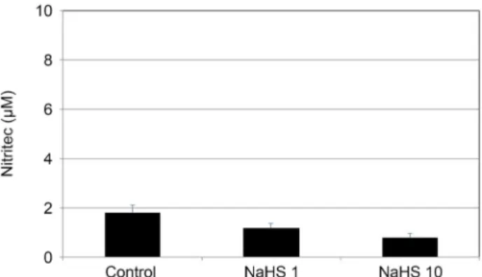 Figure 7. Effect of 10 μM sodium nitroprusside (SN) co-ex- co-ex-posed to sodium hydrogen sulfide (NaHS) at low concentration  (1, 10 μM) on the permeability of carboxyfluorescein through  the trabecular meshwork cell monolayer