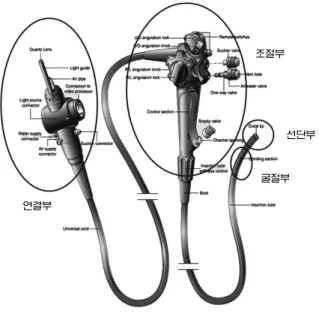 Fig. 3. Front view and cross-section view of the distal tip in a gastrointestinal endoscope