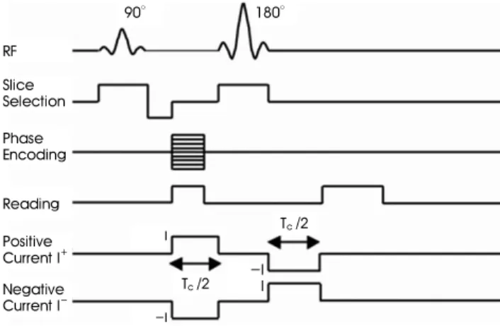figure 1. We try to measure the z-component of the induced  magnetic flux density,  , inside a chosen imaging slice