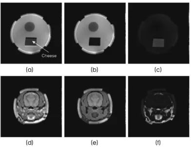 Table 1. Imaging parameters for the gelatin-TX151-cheese phantom and postmortem canine head experiments