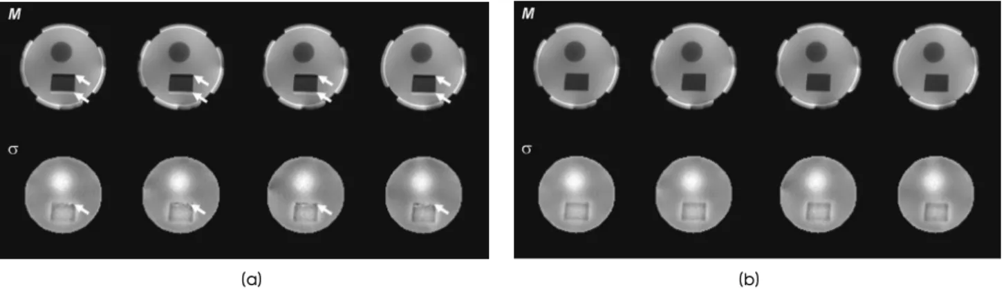 Figure  5(a)  and  (b)  show  the  multi-slice  MR  magnitude  ( )  and  conductivity  images  (  )  from  the  gelatin-TX151-  cheese  phantom  before  and  after  applying  the  correction  method,  respectively
