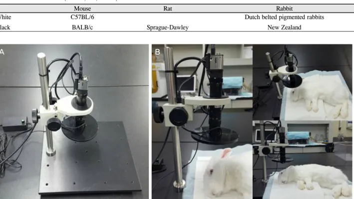 Table 1. Animal models (mouse, rat, rabbit)