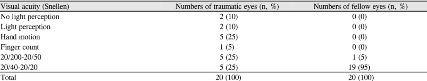 Table 2. Visual acuity of the traumatic eyes and the fellow eyes at the first visit after trauma 