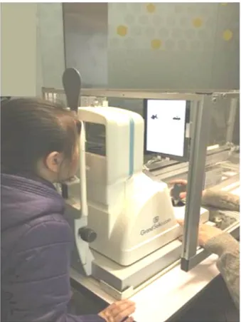 Figure 2. Eye tracking test using the SMI Eye Tracking Glasses  2 Wireless (Sensory Motoric Instruments, Teltow, Germany).