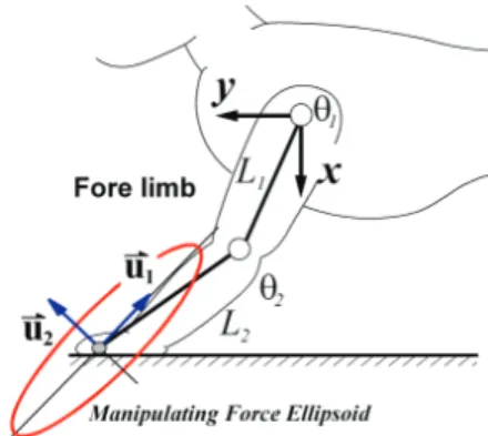 그림 3. Manipulating Force Ellipsoid