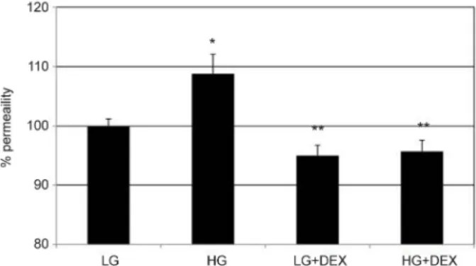 Figure 4. Effects of low glucose (5 mM, LG) and high glucose  (25 mM, HG) with or without co-exposure of dexamethasone  (1.0 μM, DEX) on the expression of claudin-5 mRNA in  tra-becular meshwork cells
