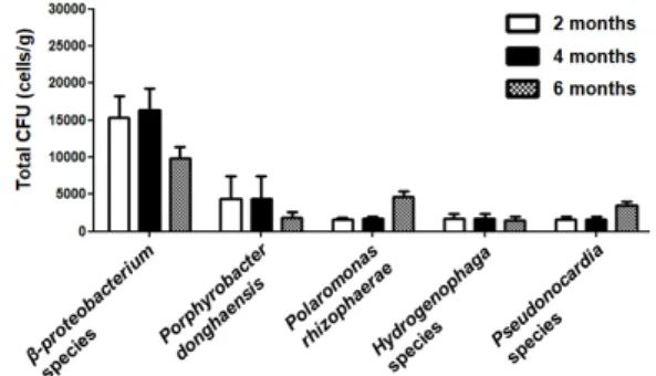 그림  6.  Variations  of  bacterial  communities  and  biomass in non-pretreatment BACs그림  5