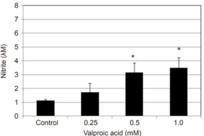 Figure 3. Effects of valproic acid on the production of nitric  oxide in trabecular meshwork cells after exposure for 12 hours.