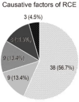 Figure 3. Causative factors. Causative factors in 67 eyes of 67 patients with recurrent corneal erosion