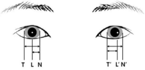 Table 1. Baseline characteristics