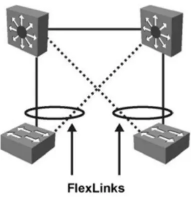 그림  3.  플렉스  링크  네트워크  구조 Fig.  3  Flex  link  network  topology