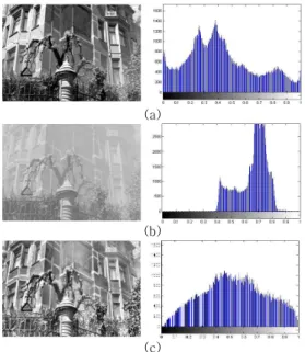 그림  5.  안개  영상  및  CLAHE를  사용한  복원  영상  Fig.  5  Haze  image  and  recovered  image  by  using  CLAHE  to  the  Intensity  of  haze  image  (a) 