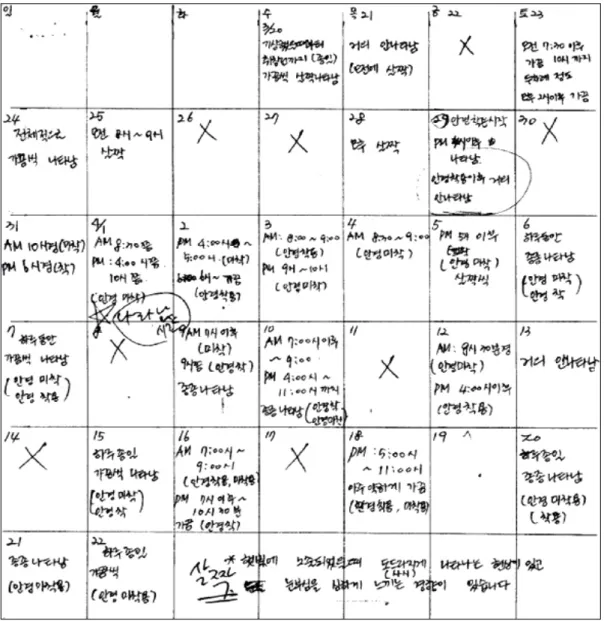 Figure 4. Strabismus note. Daily note regarding the presence of eyeball deviation by the patient's mother.