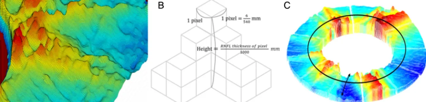 Figure 2. Three-dimensional (3-D) structure of retinal nerve fiber layer (RNFL). (A) 3-D RNFL structure as the integral of a num- num-ber of cube pixels