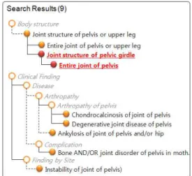 그림  4.  컨셉  쌍의  유형별  결과  표시  방법 Fig.  4  Display  methods  per  case  of  two 