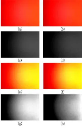 Fig.  3.  Experimental  results  of  index  finger  for  external  light  10  Lux,  (a)  release  period  input  image,  (b)  contraction  period  input  image,  (c)  release  period  luminance  image,  (d)  contraction  period  luminance  image,  (e)  rel