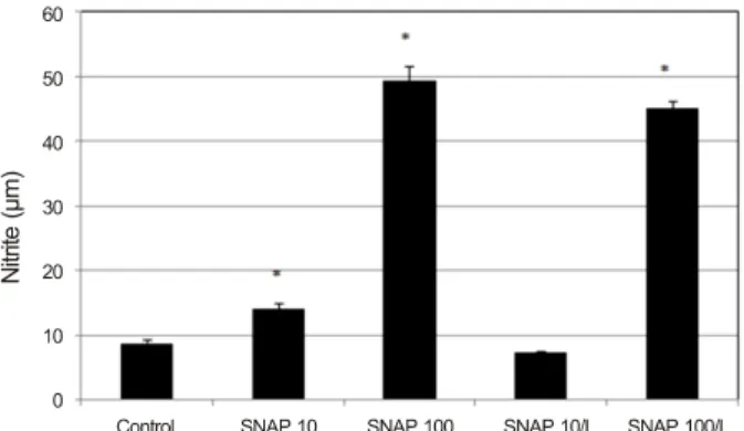 Figure 3. Effects of nitric oxide donor on the permeability of car- car-boxyfluorescin through the trabecular meshwork cell monolayer