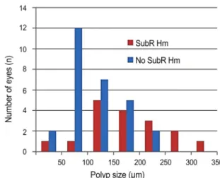 Figure 3. The distribution of polyp size of study group. SubR  Hm = subretinal hemorrhage