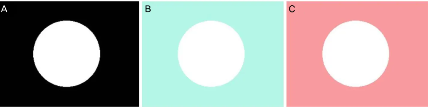 Figure 1. Stimuli used in the experiment 1. Each image was presented to the two eyes through anaglyph filters