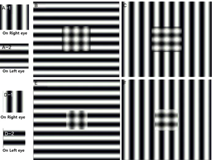 Figure 2. Stimuli used in the experiment 2. Each image was presented to the two eyes through polarized filters