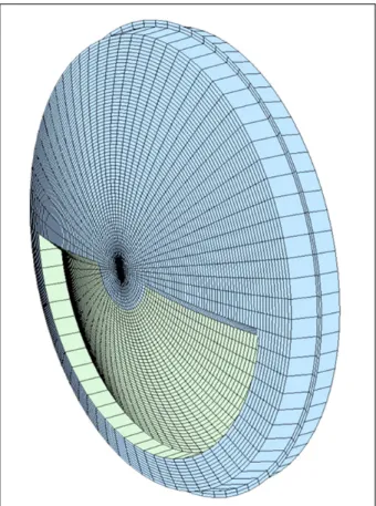 Figure 4. M-plus multifocal intraocular lens design (seamless  transition between near and far zone).