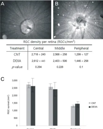 Figure 1. Dexamethasone instillation and induction of intra- intra-ocular pressure (IOP)