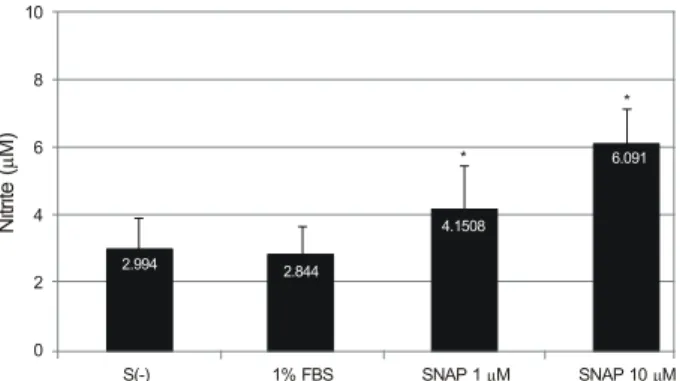Figure 1. Effect of NO (Nitric oxide) donor on the production  of NO. S-nitroso-N-acetylpenicillamine (SNAP) increased  NO in a dose-dependent manner compared serum-free or 1%  