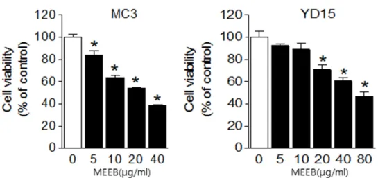 Fig. 2. The effect of erigeron bonariensis (MEEB) on cell viability in human oral cancer cell lines  The effects of MC3 cells YD15 cells were treated MEEB for 48 hours on cell viability were analyzed by  trypan blue exclusion assay