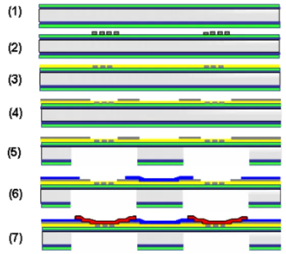 Fig. 2. Top view and bottom view of fabricated  multi-layer  type  micro  platforms  Type  II-1  with  circular  type  SiN X /SiO 2   (2  ㎛/0.5  ㎛)  membrane