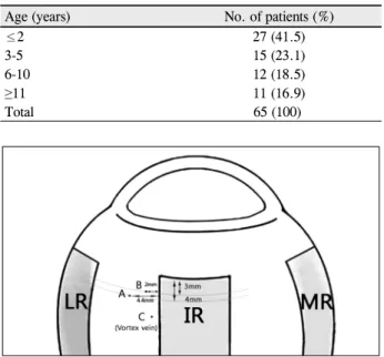 Figure 1. Drawing of the various recession points in the right  eye. A point is 4 mm posterior and 4.4 mm temporal to the  lat-eral border of the inferior rectus muscle insertion (Fink’s point)