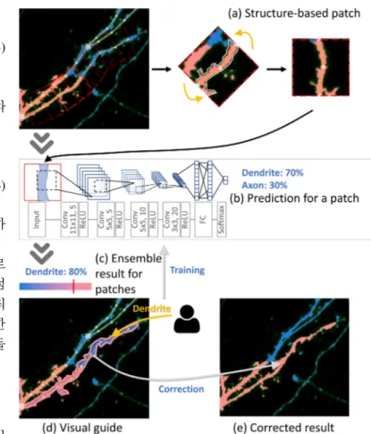 Figure 5: Structure correction process through deep learning - (a) generation of structure-based patch through structure label, (b) structure classification result for one patch, (c) ensemble result of structure classification for all patches in a single n
